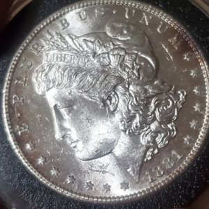 Silver Dollars