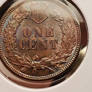 1898