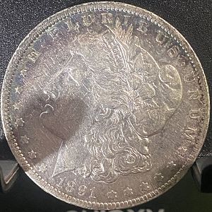 Raw Morgan Dollars