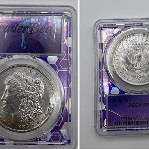 Graded Morgan Dollars