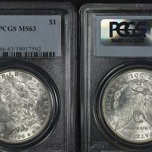 1886 MS63 Morgan