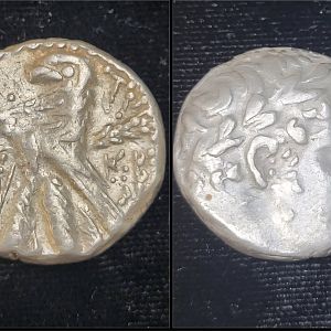 Shekel CY 156 30/31 AD