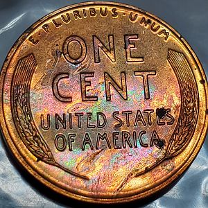 1950 reverse