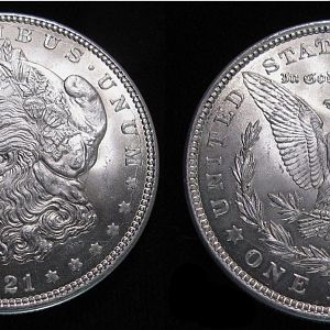Raw Morgan Dollars