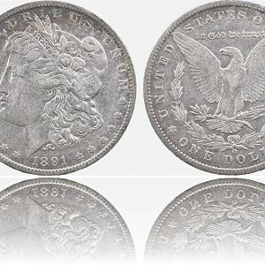 Raw Morgan Dollars