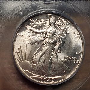 Ms 65