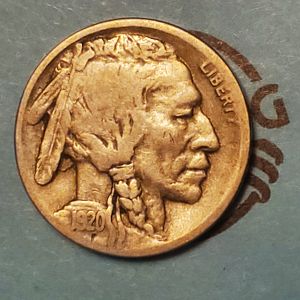 Buffalo Nickel