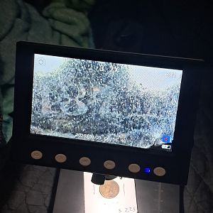 1877 1c close-up 2