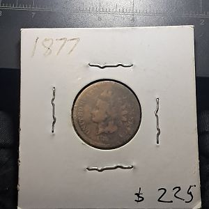 1877 under better lighting.