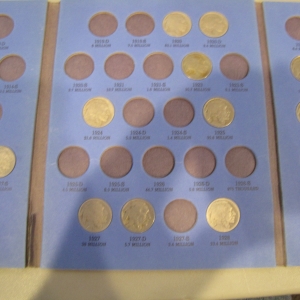 My Buffalo nickel collection