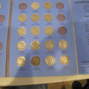 My Buffalo nickel collection