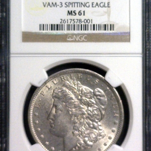 1891-CC SPITTING EAGLE.jpg