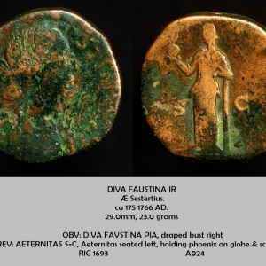 FAUSTINA JR.