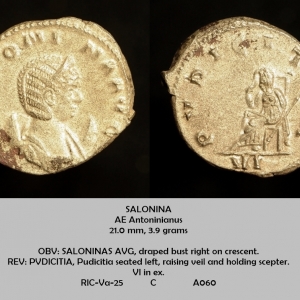 SALONINA