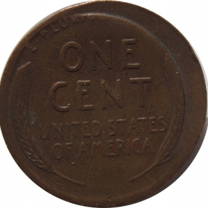 Encased Reverse