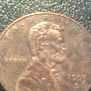 1544.jpg