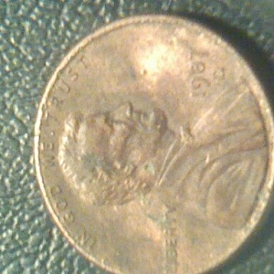 2174.jpg