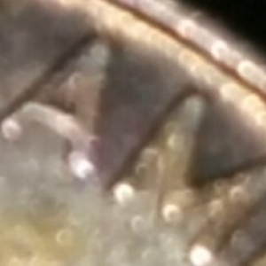 2000 WAM Cent