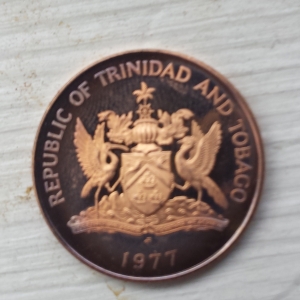 Toned Proof Coin