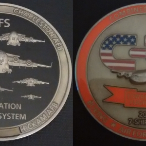 C-17 FFS