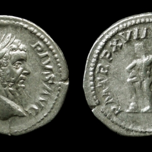 JWT 15 Septimius Neptune