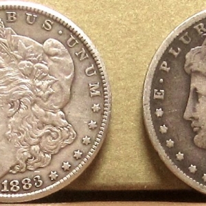 Carson City Morgans