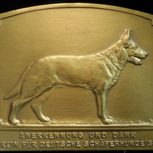 GSD Plaquette