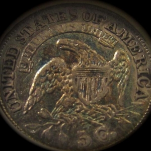 Capped Bust H10c Reverse