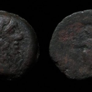 JWT 42 Ptolemy IX Zeus