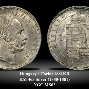 Hungary KM465 1 Forint 1881KB