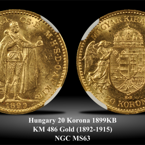 Hungary KM486 20 Korona 1899KB