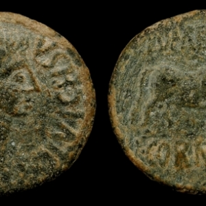 JWT 104 Augustus Celsa
