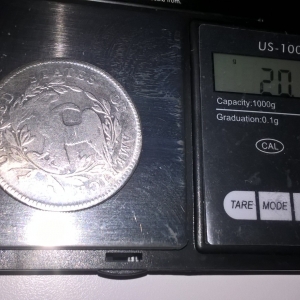 Silver Dollar/Backside