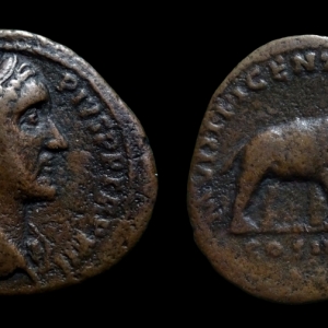 JWT 112 Antoninus Pius Elephant