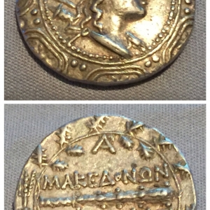 Macedonian Shield