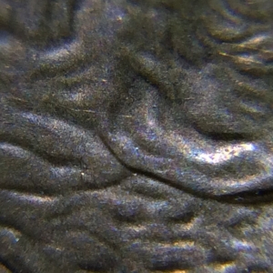 1992-D Cent Double Die Pictures