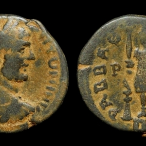 JWT 134 Caracalla Ares