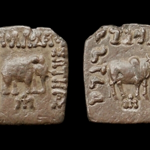 JWT 127 Apollodotus Zebu