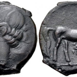 AE Shekel from First Punic War