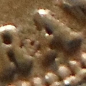 1850 California Gold $10 Close up