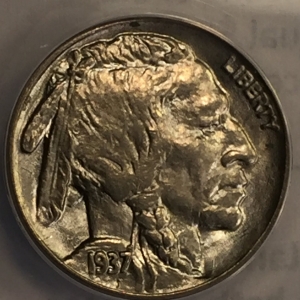 1937 buffalo nickle