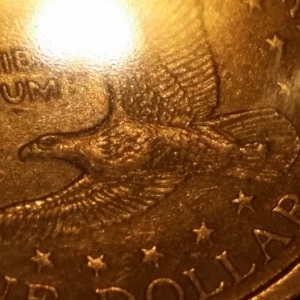 2000 p Sacagawea