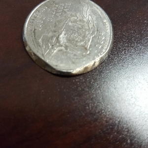 2004 Mich quarter