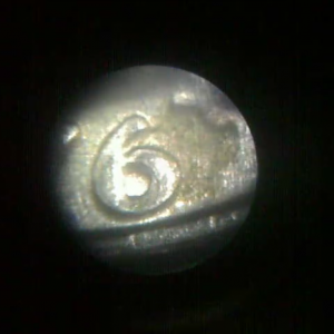 6 with spot.