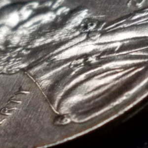 Penny with drops