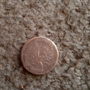 Old penny