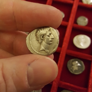Augustus denarius