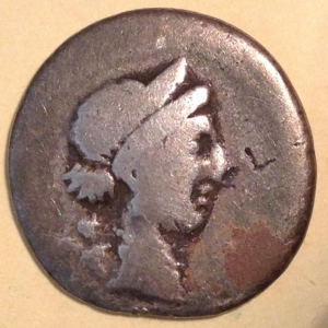 Caesar Venus 2