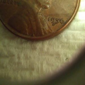1956 rpm