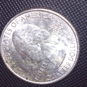 Error Nevada